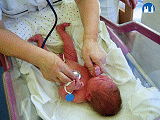 Auskultace srdce a plic novorozence