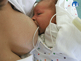 Krmení novorozence cévkou po prsu