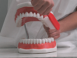 Zubní hygiena u dětí nad 6 let